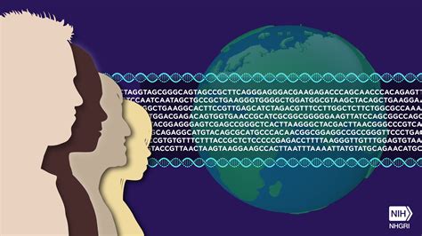 Twenty years of the human genome .